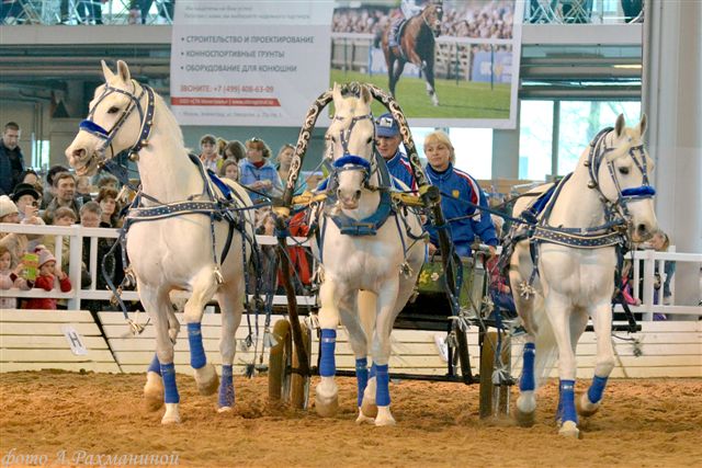 ������ � ���������� �����.jpg