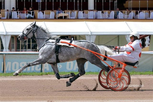 ������� (���������-����������).jpg