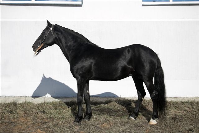 Анорексиялық әйелмен жыныстық қатынас туралы бейне Дюртюлидегі интимдік қызметтер