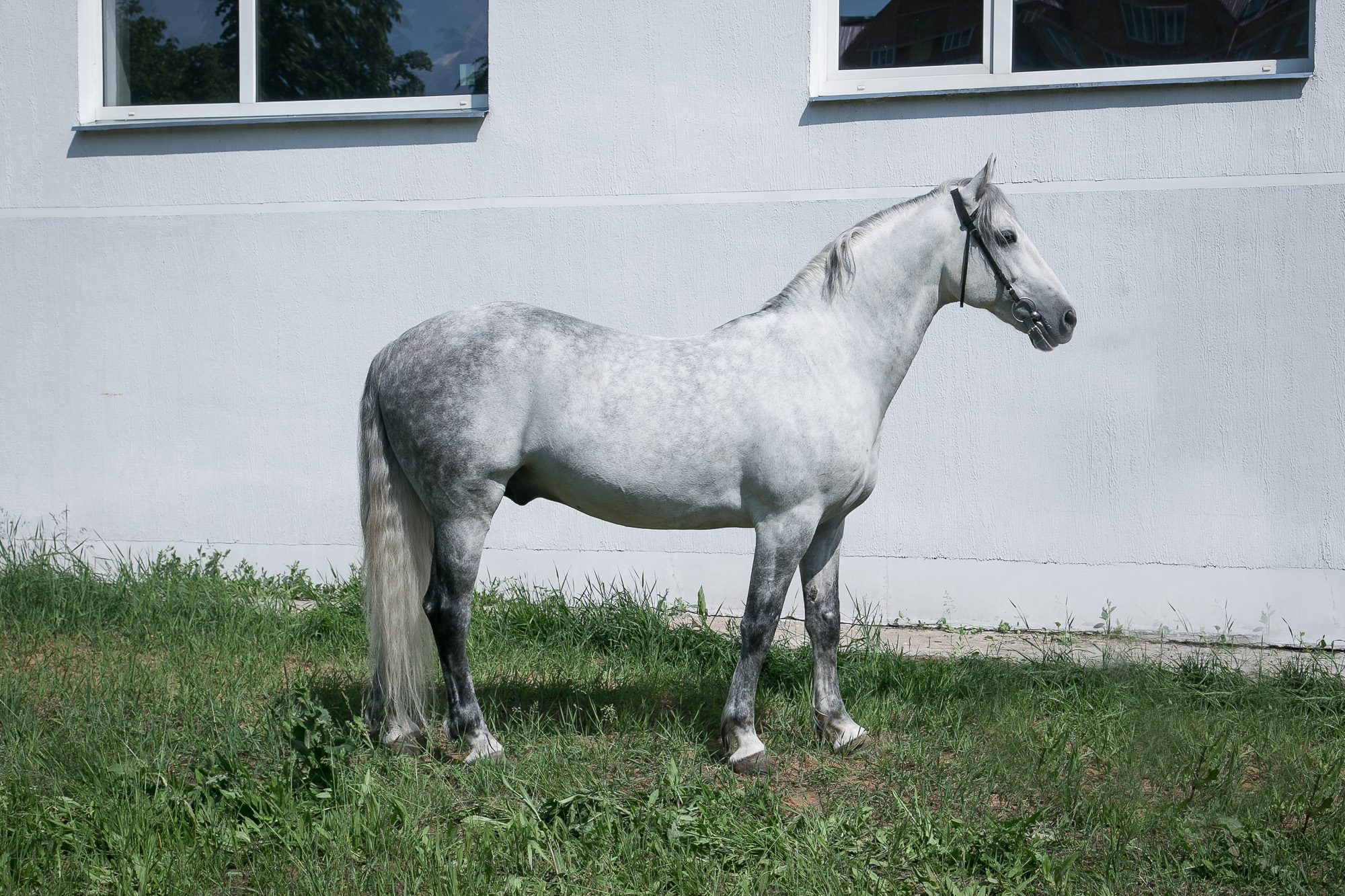 КАНЦЛЕР